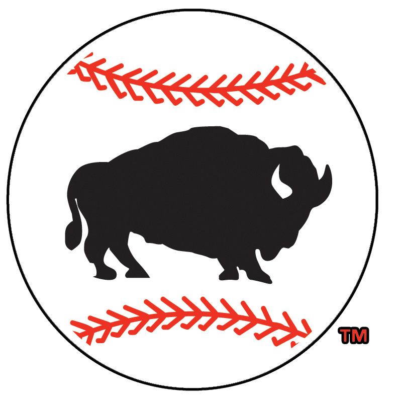 Buffalo Bisons 2005-2008 Alternate Logo vinyl decal